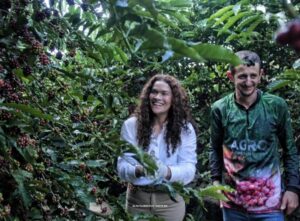 Início da colheita do café evidencia compromisso do governador Marcos Rocha com avanço da cafeicultura