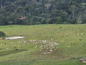 Agentes do ICMBio sofrem atentados em reserva no Acre