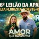Hérico Flores ressaltou a qualidade genética do gado trazido para o evento do 16º Leilão da Apae
