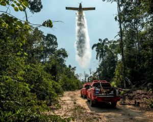 Rondônia conquista redução histórica do desmatamento – Geral