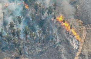 El Niño aumenta risco de queimadas durante a estiagem em Porto Velho – Geral