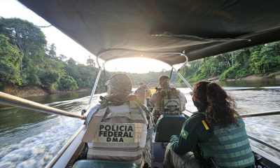 PF e Ibama combatem garimpo ilegal no Rio Madeira