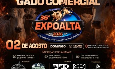 Leilão de Gado Comercial da 36ª Expoalta 2026 será realizado no dia 2 de agosto em Alta Floresta D'Oeste