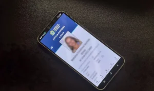 Saiba como votar usando o aplicativo e-Título do TSE