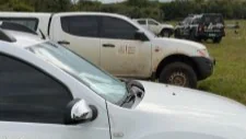 Idoso de 91 anos perde mais de 2,3 mil cabeças de gado após sofrer golpe
