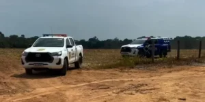 Homem sai para colher castanhas e encontra ossos humanos em Ariquemes
